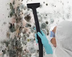  , USA Mold Prevention & Removal Pros